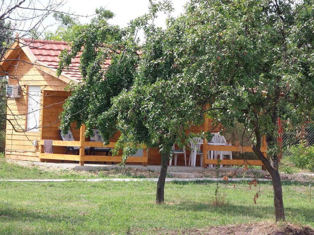 Pusztaeldorado Tiszagyenda المظهر الخارجي الصورة